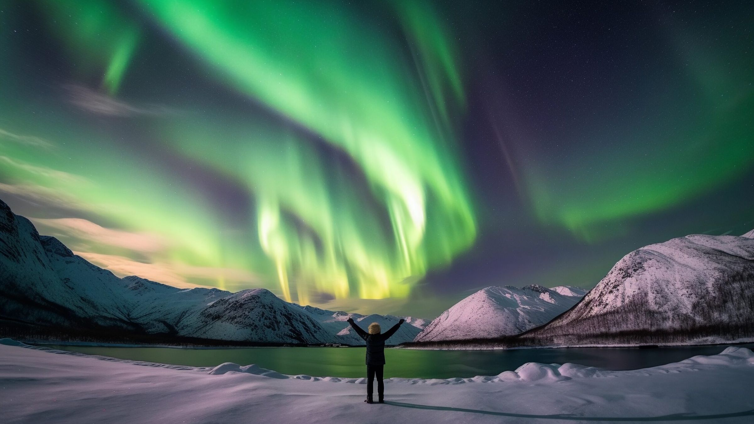 Person Standing In A Snowy Landscape With The Northern Lights